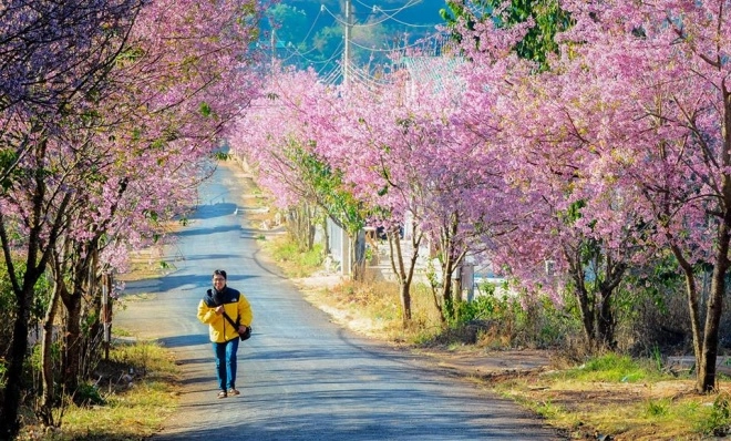 Ba loài hoa tháng 1 gọi khách lên đường - 3