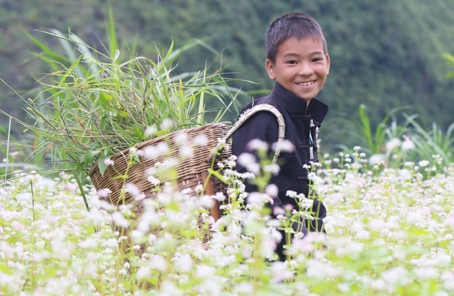 Cao nguyên hà giang mùa này đá đã nở hoa - 9