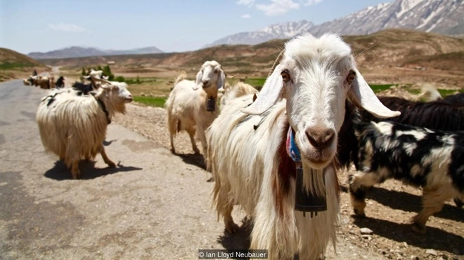 Dòng sông băng bí ẩn giữa sa mạc iran - 6