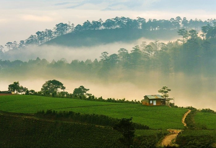 Du lịch đà lạt - 1