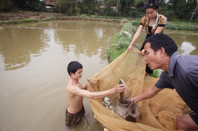 Gỏi cá đãi khách quý của người thái ở điện biên - 2