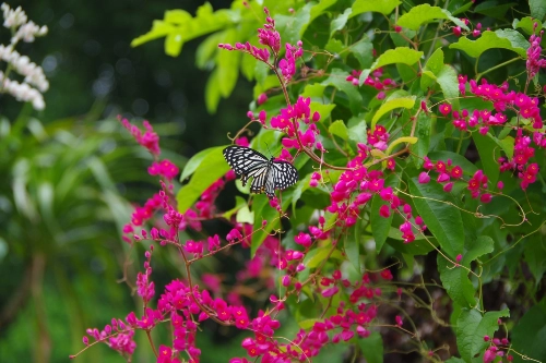 Gợi ý điểm dã ngoại cho trẻ mùa hè - 2