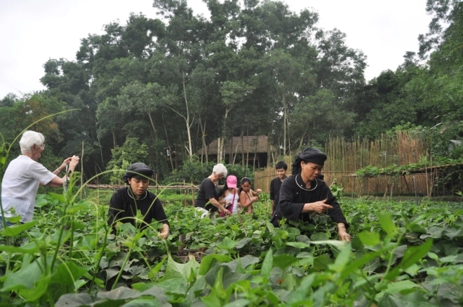 Khách tây chăn trâu bắt cá ở làng quê thái nguyên - 2