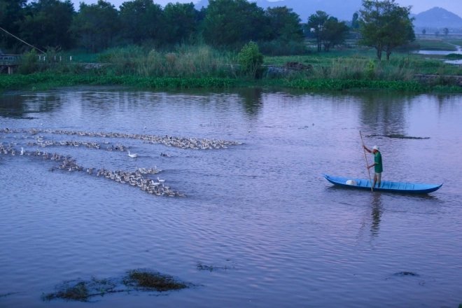 Khám phá an giang cuối mùa nước nổi - 6