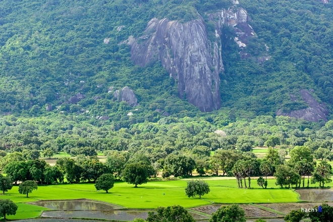 Khung cảnh hùng vĩ trên núi tà pạ - 3