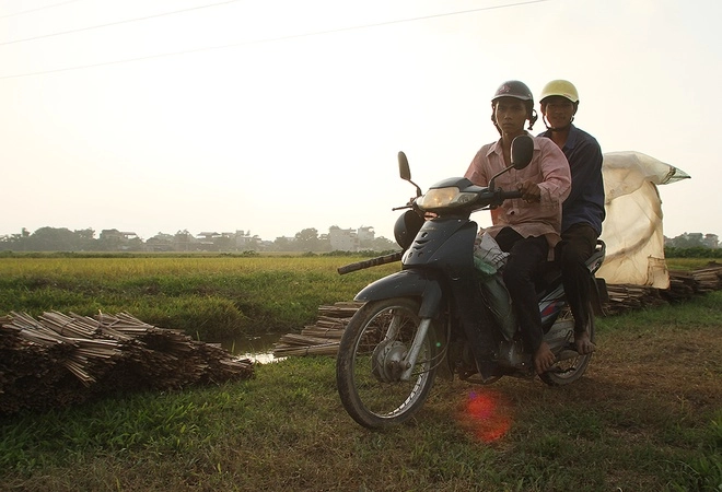 Mùa bắt châu chấu ở ngoại thành hà nội - 2