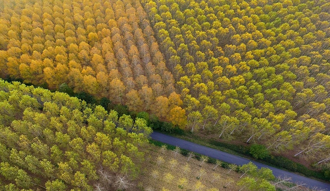 Mùa thu vàng ở lithuania - 6