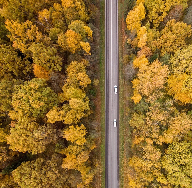 Mùa thu vàng ở lithuania - 1