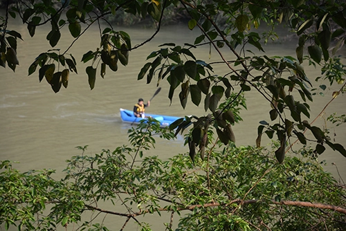 Nước sông chày - suối moọc mất màu xanh vì lũ - 3