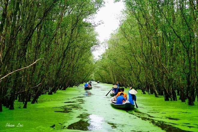 Rừng tràm trà sư vào mùa nước nổi - 7