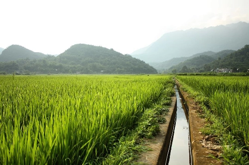 Thung lũng xanh mướt ở mai châu - 1