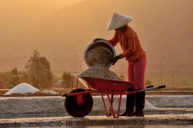 Vẻ đẹp diêm dân trên ruộng muối long điền - 10