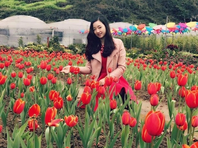 Vườn hoa tulip đẹp như châu âu ở lào cai - 4