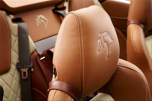  ảnh aston martin db9 volante phiên bản equestrian - 6