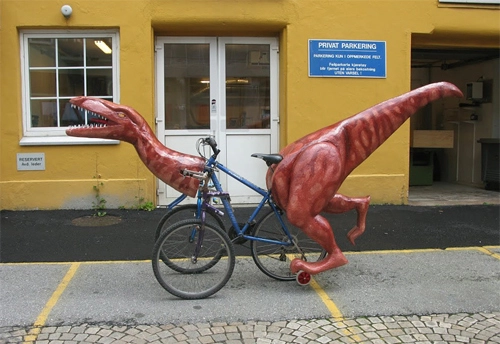  cưỡi xe đạp khủng long đi xuyên na uy - 6