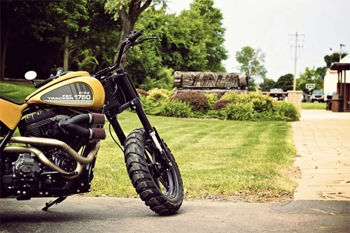  harley-davidson fat tracker - 6