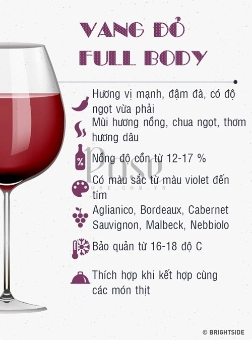 Hướng dẫn phân biệt các loại rượu như một chuyên gia xịn - 7