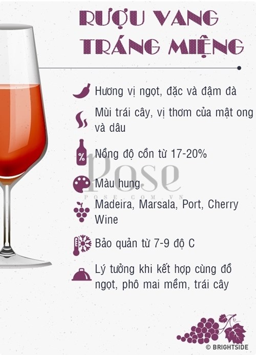 Hướng dẫn phân biệt các loại rượu như một chuyên gia xịn - 9