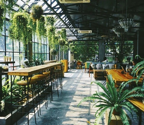 Những quán cà phê không gian xanh mát giữa lòng hà nội - 6