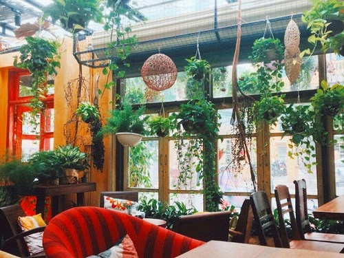 Những quán cà phê không gian xanh mát giữa lòng hà nội - 9