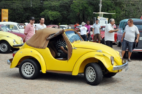  volkswagen beetle cổ đủ sắc màu - 4