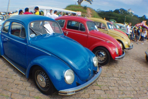  volkswagen beetle cổ đủ sắc màu - 6