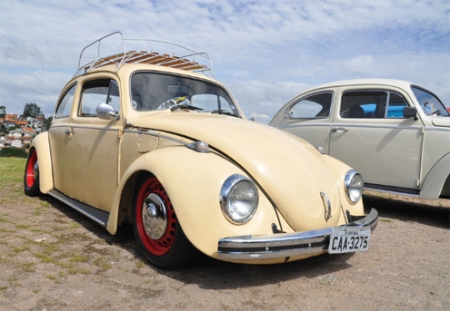  volkswagen beetle cổ đủ sắc màu - 9