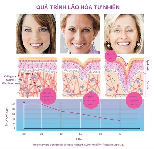 Collagen chất sống và tuổi thanh xuân của làn da - 2