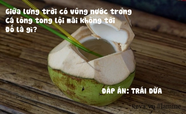 20 câu đố vui dân gian rèn trí thông minh cho trẻ hiệu quả - 19