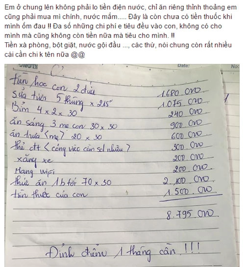 Mẹ trẻ lương 6 triệu nuôi 2 con hết 8 triệu tháng 5 thùng sữa khiến dân mạng chóng mặt - 1