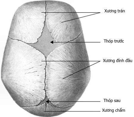 Muốn biết con sinh ra phát triển khỏe mạnh hay không xem ngay bộ phận này - 1