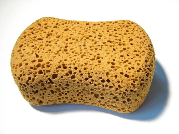 Bạn biết gì về hội chứng sợ lỗ - trypophobia - 2