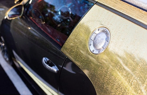  bugatti veyron grand sport mạ vàng - 6
