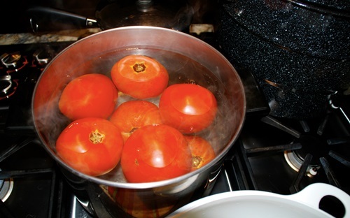 Cho cà chua đông đá rồi chà lên khắp mặt trong vài phút 10 người dùng 9 người mê - 2