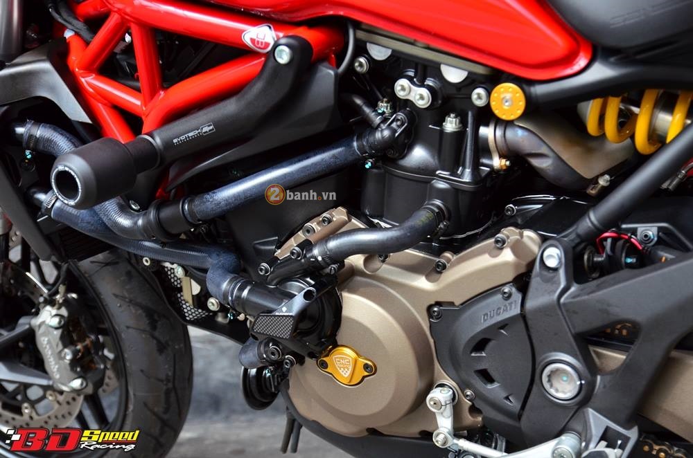 Ducati monster 821 quyến rũ với dàn đồ chơi độ vừa đủ - 6