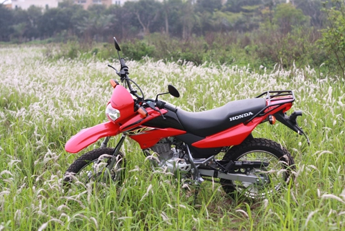  honda xr125l tại việt nam - cào cào tập làm người lớn - 1