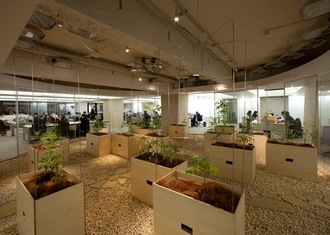Lạ lùng văn phòng trồng rau như trang trại nhân viên tha hồ gặt lúa hái rau - 10