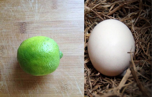 Lấy 1 quả trứng 1 quả chanh chưa đến 5 ngàn đồng mà dưỡng da căng mướt như em bé - 3