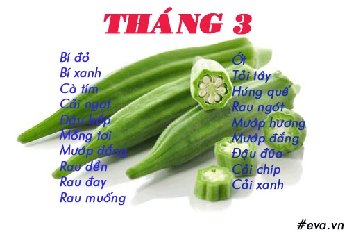 Lịch gieo trồng rau trong năm cho năng suất tốt chị em nên biết - 3