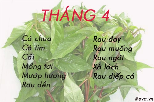 Lịch gieo trồng rau trong năm cho năng suất tốt chị em nên biết - 4