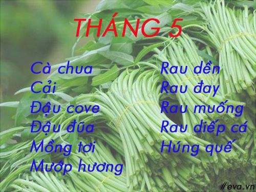 Lịch gieo trồng rau trong năm cho năng suất tốt chị em nên biết - 5