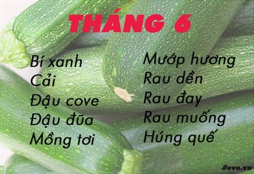 Lịch gieo trồng rau trong năm cho năng suất tốt chị em nên biết - 6