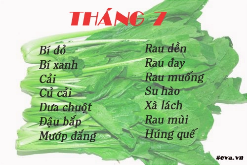 Lịch gieo trồng rau trong năm cho năng suất tốt chị em nên biết - 7