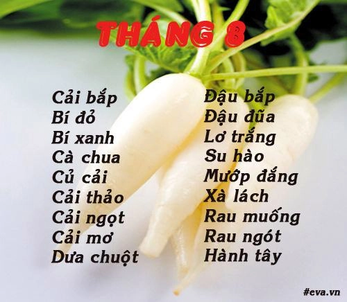 Lịch gieo trồng rau trong năm cho năng suất tốt chị em nên biết - 8