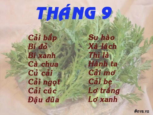 Lịch gieo trồng rau trong năm cho năng suất tốt chị em nên biết - 9