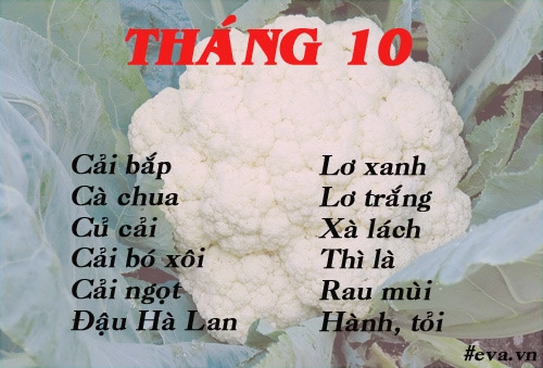 Lịch gieo trồng rau trong năm cho năng suất tốt chị em nên biết - 10