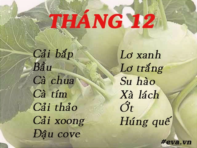 Lịch gieo trồng rau trong năm cho năng suất tốt chị em nên biết - 12