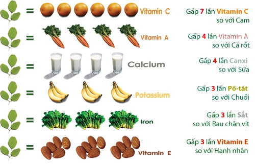 Mách chị em cách trồng chùm ngây loại rau bổ gấp mấy lần sữa và hạnh nhân - 2