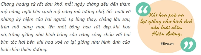 Mê mẩn muôn cách cắm hoa thiên điểu - loài hoa chim thiên đường đẹp kiêu sa của mẹ việt - 2