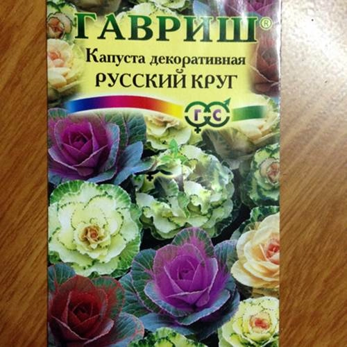 Mồng 83 trồng cải hoa hồng tặng người phụ nữ mình yêu - 7